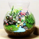 Hydroponic Flowers Plant Vase Bottle Terrarium Container Home Lanscape Decor