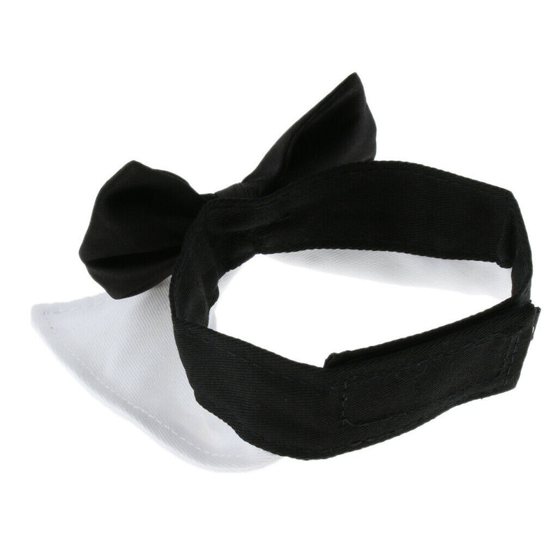 Adjustable Pet Dog Collar Special Designed Collars for Dogs Cats White L