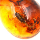 Fashion Insect Stone Scorpions Inclusion Amber Baltic Pendant Necklace Gift Gn