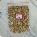 100 pcs Bitter Melon Gourd Ampalaya  Seeds Fresh From My Garden SP