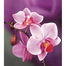 Full Drill Phalaenopsis 5D Diamond DIY Painting Craft Kit Home Decor