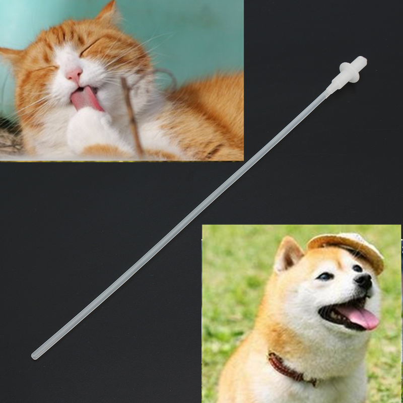 50PCS Artificial Insemination Rods Breeding Catheter Tube Dog Sheep Goat 10 Inch