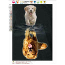 5D Dog Diamond Embroidery Painting Cross Stitch DIY Art Craft Home Decor