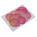 12pcs Real Pressed Dried Flower Rose Petals Scrapbooking Embellishments Pink