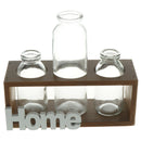 Tabletop Glass Terrarium for Hydroponics Plants Home Decor-3 Bottle
