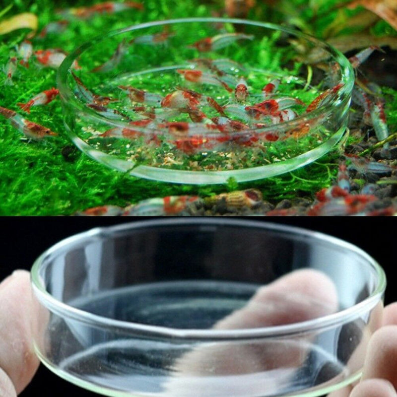 65mm Portable Aquarium Fish Tank Clear Acrylic Shrimp Feeding Dish Feeder