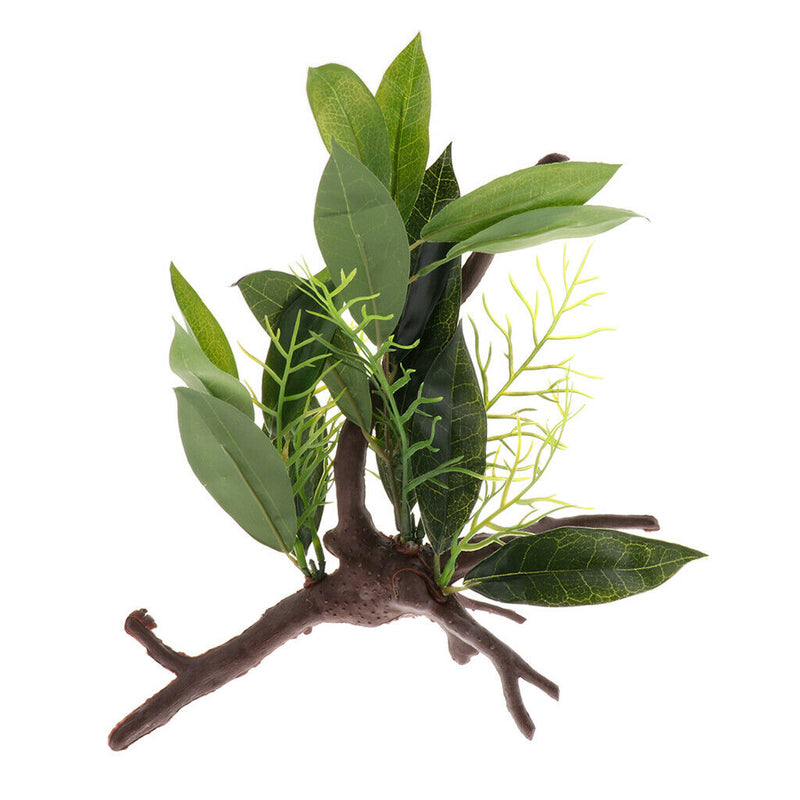 2 PCS Aquarium Reptile Tortoise Gecko