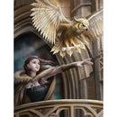 5D DIY Full Drill Diamond Painting Beauty Eagle Cross Stitch Embroidery Kit