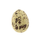 Pack of 5pcs Artificial Speckled Bird Eggs for Crafting,Favors,Embellishing