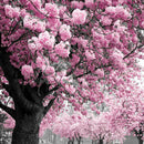 5D DIY Diamond Painting Cherry Tree Full Round Drill Embroidery Needlework