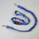 Pet Dog Traction Rope Slip Lead Training Elastic Collar Belt  Adjustable Co