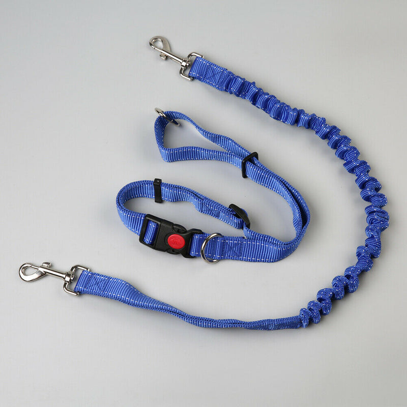 Pet Dog Traction Rope Slip Lead Training Elastic Collar Belt  Adjustable Co