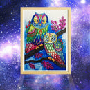 5D DIY Special Shaped Diamond Painting Colorful Bird Cross Stitch Embroider