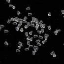 1000x Cap Nuts Reading Glasses Spectacle Repair Replacement Parts Set