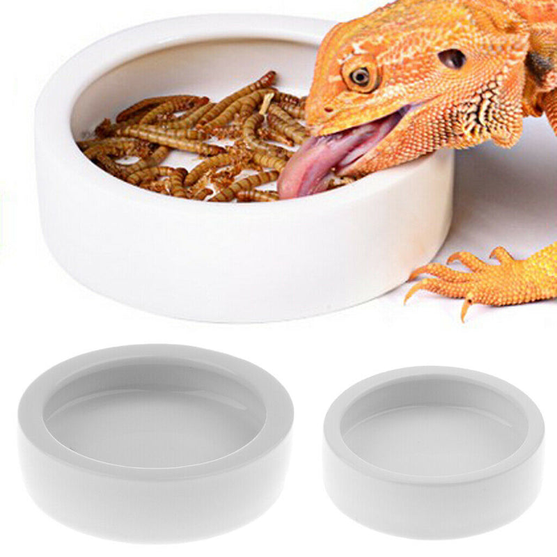 2x Ceramic Reptile  Water Food Bowl