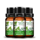Plant Nourish Massage Essential Oil Promotes Metabolic Essential Antibacter B9F5