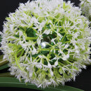 Solar Power Dandelions Flower 3 LED Lamps Outdoors Garden Yard Light(White)