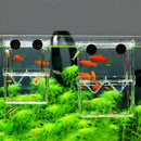 Fish Incubator Aquarium Fish Isolation Box Accessories Duraduro Compliments