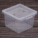 30x Reptile Vivarium Terrarium Breeding Tank Plastic Feeding Rearing Box