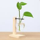 Wooden Desktop Frame Hydroponic Transparent Glass Container Vase Pot