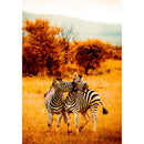1000pcs DIY Zebra on Grass Puzzle Educational Learning Assembling Toys Gift