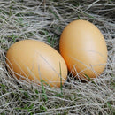 10Pcs Wooden Eggs Creative Diy Handmade Materials Graffiti Toys Kitchen Chi