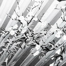 Fan Pattern of Plum Blossoms Wedding Gift