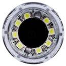 1000X Zoom 8 LED USB Microscope Biological Microscope Digital Magnifier End T9J8