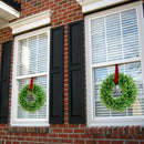 1X(Artificial Green Leaves Wreath Eucalyptus Milano Grass Wreath- 17 inch F