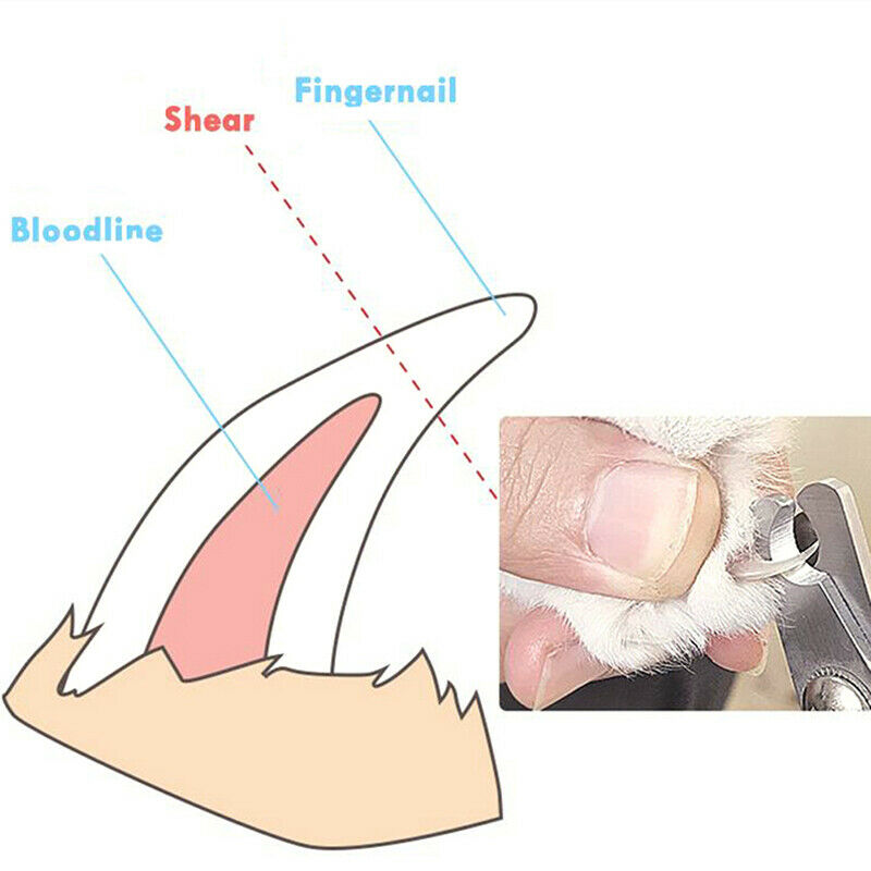 Pet Cat Dog Nail Clipper Cutter Stainless Steel Grooming Scissors Clippers S Kw
