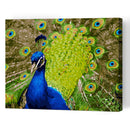 DIY Digital Painting By Numbers Peacock Frameless Canvas Picture Home Decor