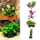 2x Reptile Plants Terrarium Lifelike Plants For Lizards Habitat Decoration