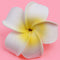 Woman Hawaiian Frangipani Plumeria Flower Hair Clip Pin Brooch Accessory Yellow
