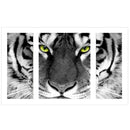 Tiger 5D Round Diamond DIY Painting Embroidery Cross Stitch Kit Home Decor