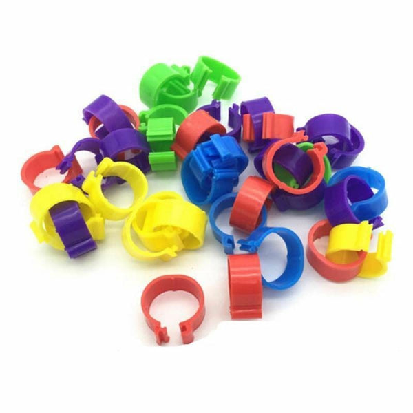 100 Bird Leg Bands 8mm Pigeon Chicks Bantam Poultry Rings Multicolor