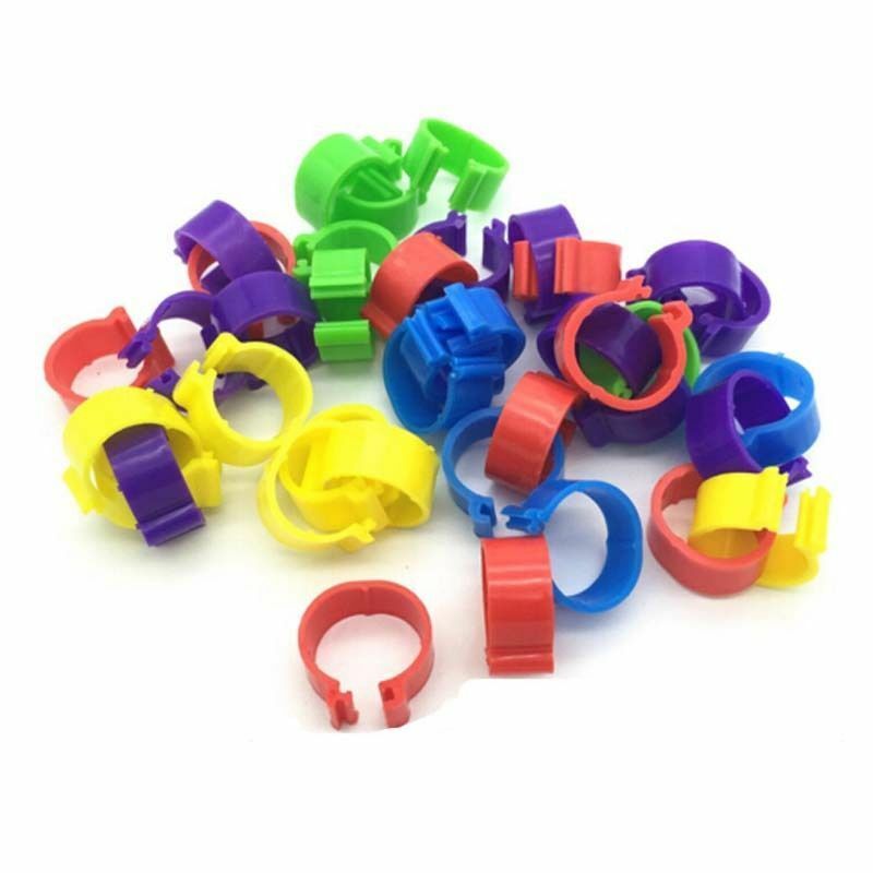 100 Bird Leg Bands 8mm Pigeon Chicks Bantam Poultry Rings Multicolor