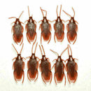 20Pcs Halloween Realistic Rubber Roach Cockroach Simulation Bug Toys L6N8. E2A9