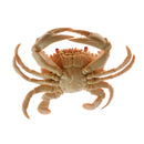 Artificial Lifelike , Decoration For Kitchen Fishing Accessories