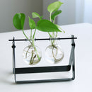 Modern Glass Tabletop Hydroponic Flower Vase With Cast Iron Tray 2 Beaker C