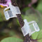 100Pcs Garden Plants Seedling Tools Fruit Vegetable Grafting Clips