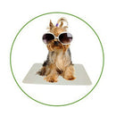 1X(Pet Aluminum Heat Sink Dog Cat Summer Cooling Mat High-End Aluminum Allo