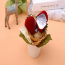 Small Strawberry Shape Jewelry Box Ring Earring Gift Cases Fruit Storage Red I1S