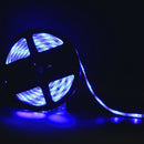 5M RGB 5050 Waterproof LED Strip light SMD 44 Key Remote 12V US Power Full Kit