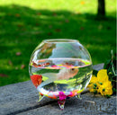 6x Ball Clear Glass Flowers Vase Bottle for Micro Landscape Fairy Garden 8cm