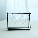Modern Glass Tabletop Hydroponic Flower Vase With Cast Iron Tray 2 Beaker C
