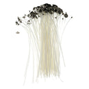 50 Pieces 7.87 Inch Natural Candle Wick, Low Smoke Pre-Waxed, Pre-Tabbed, 100%