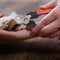 Stainless Steel Pet Nail Clipper Dog Cat Beauty Scissors Nail File (Red S)