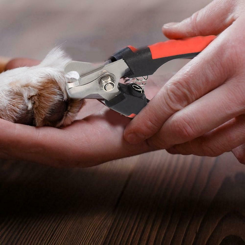 Stainless Steel Pet Nail Clipper Dog Cat Beauty Scissors Nail File (Red S)