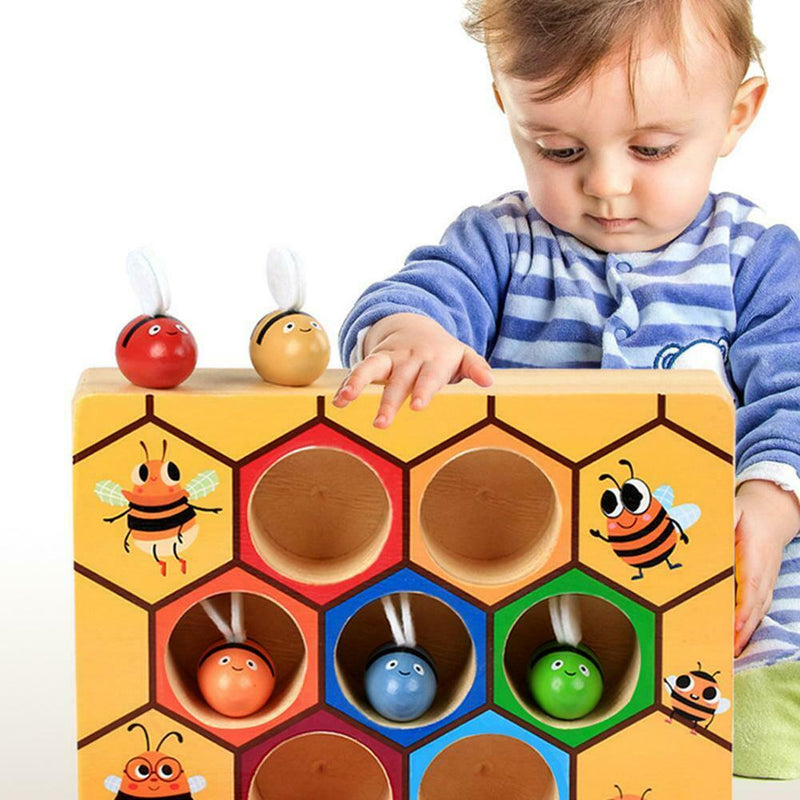 Hive Board Games Entertainment Early Childhood Education Building Blocks