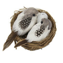 Lifelike Artificial Feathered Foam Birds & Nest & Birds Egg, DIY Parrot Crafts